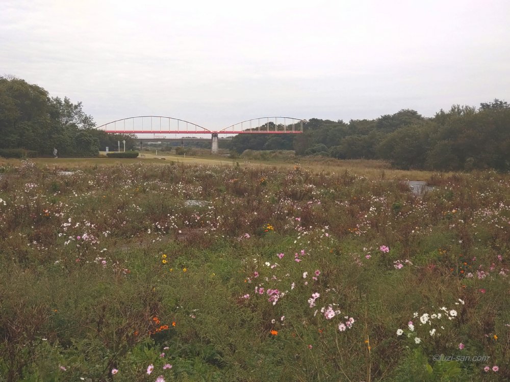 クリックで拡大表示<安比奈親水公園>