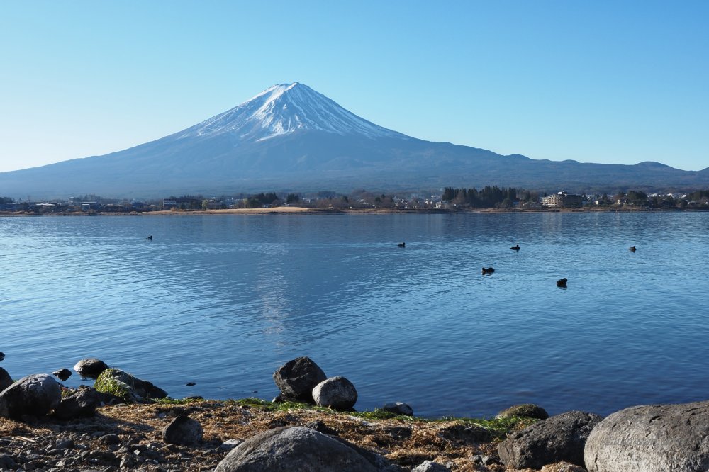 クリックで拡大表示<河口湖長崎公園からの富士山(08:28)>