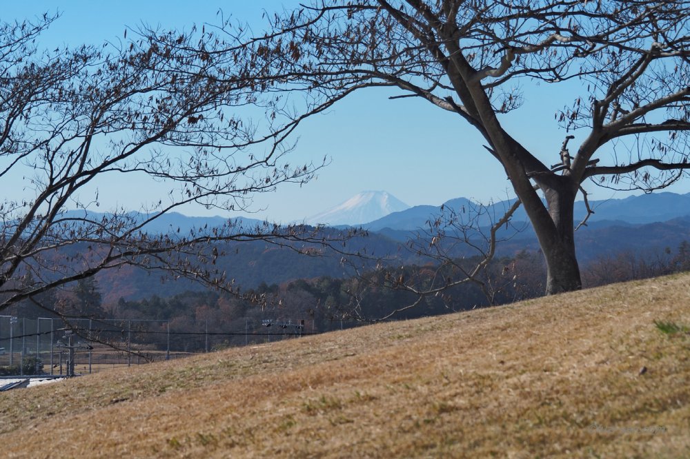 クリックで拡大表示<あさひ山展望公園からの富士山(11:08)>
