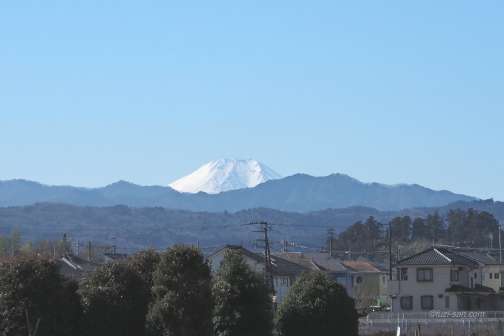 クリックで拡大表示<霞川(今寺天皇塚水田)からの富士山(10:53)>
